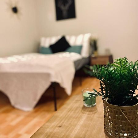 ארפורט Saniertes Studio - Elisa - Mit Balkon, Wlan, Smart-Tv & Kueche In City-Naehe מראה חיצוני תמונה