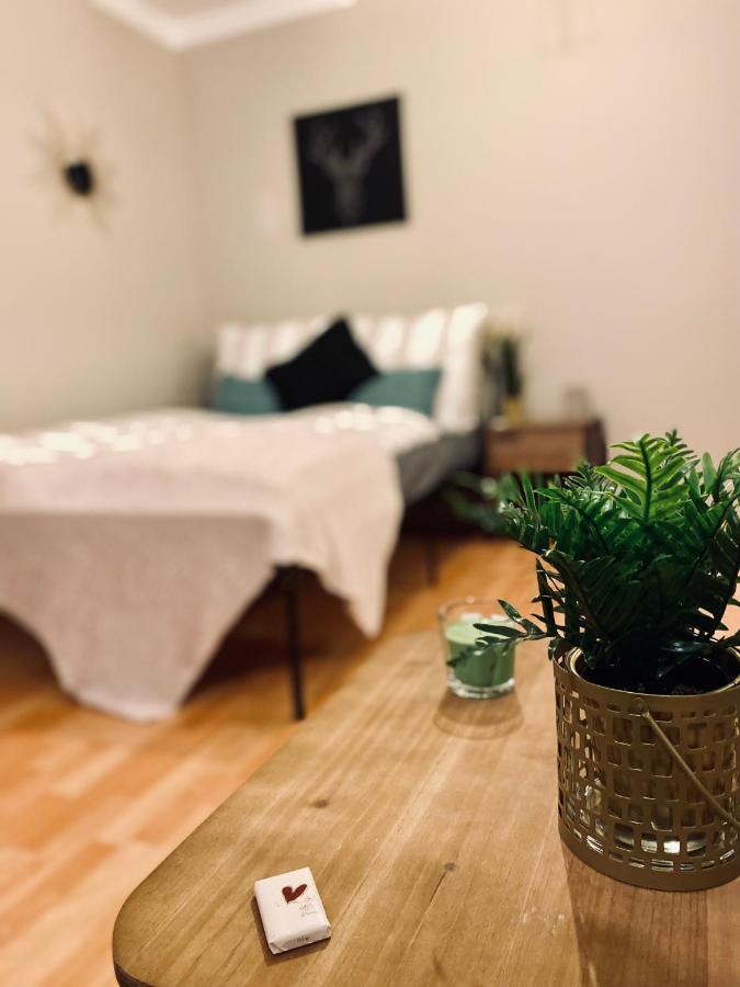 ארפורט Saniertes Studio - Elisa - Mit Balkon, Wlan, Smart-Tv & Kueche In City-Naehe מראה חיצוני תמונה